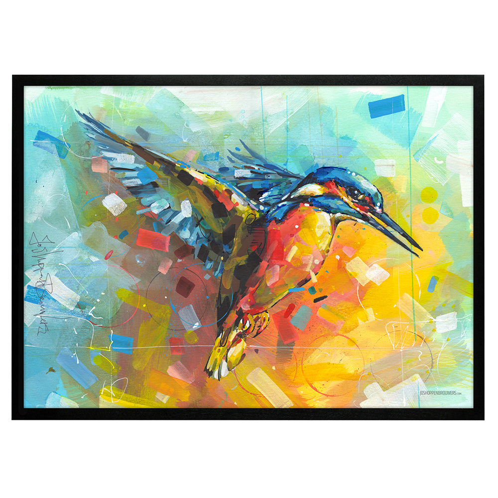 Eisvogel Druck