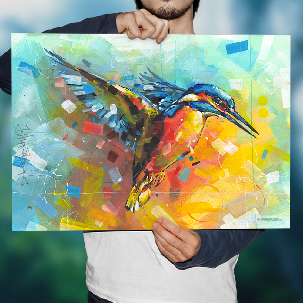 Eisvogel Druck