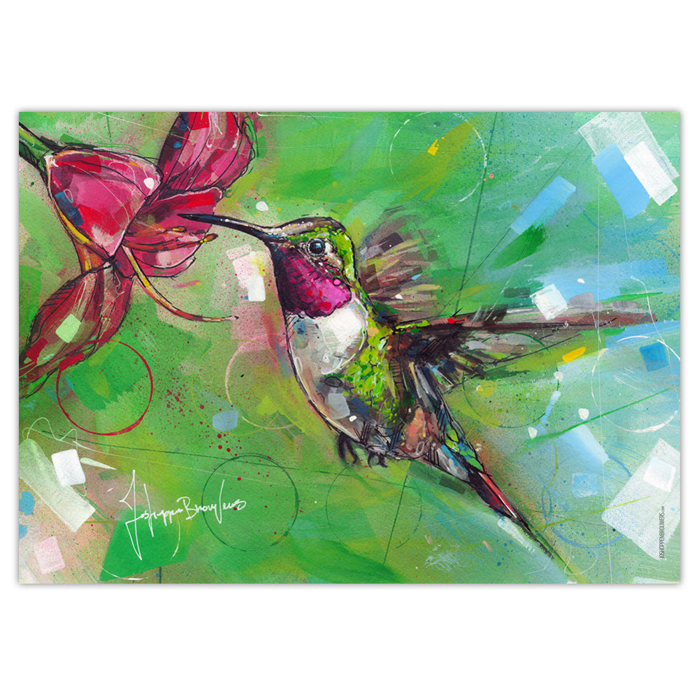 Colibrí estampada