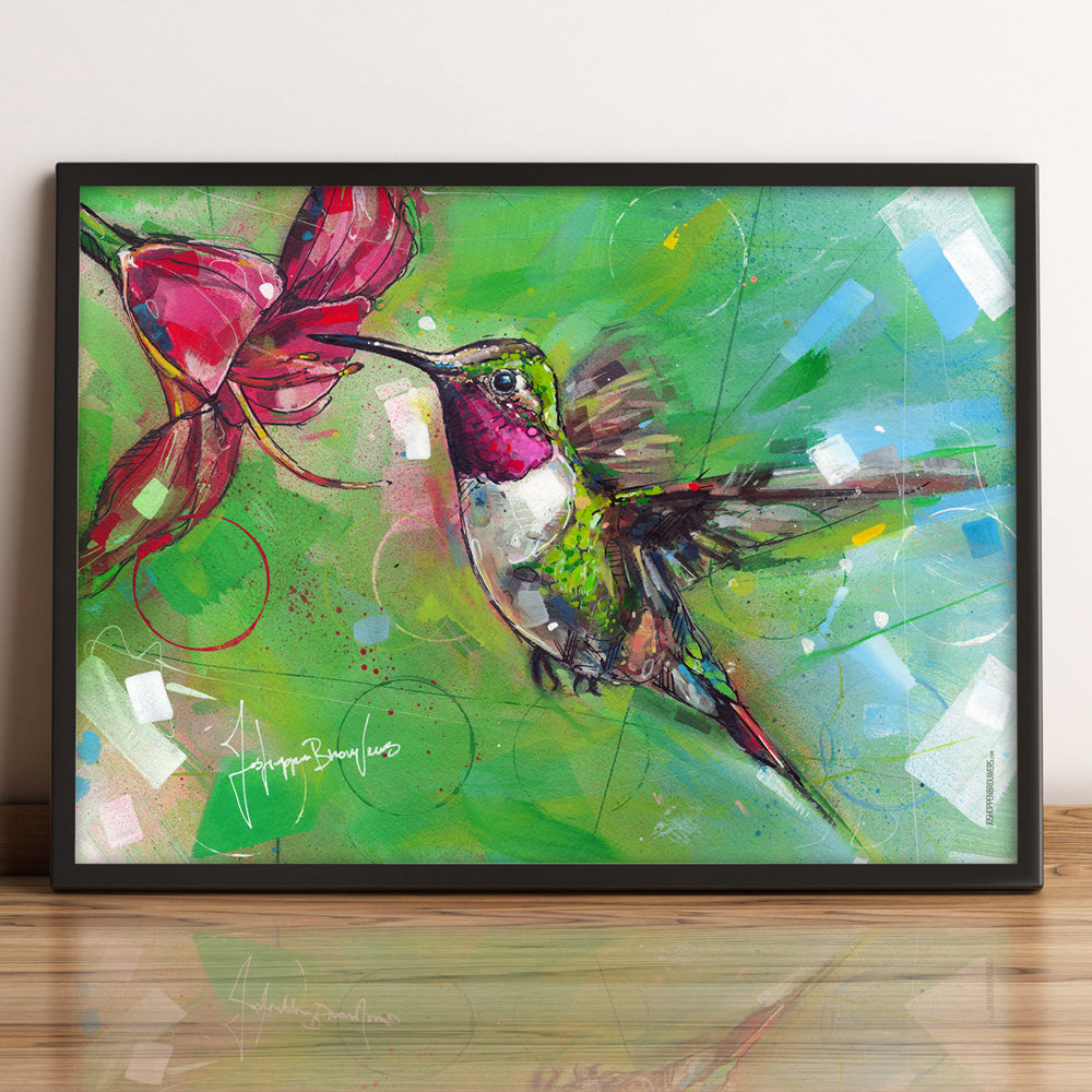 Colibrí estampada