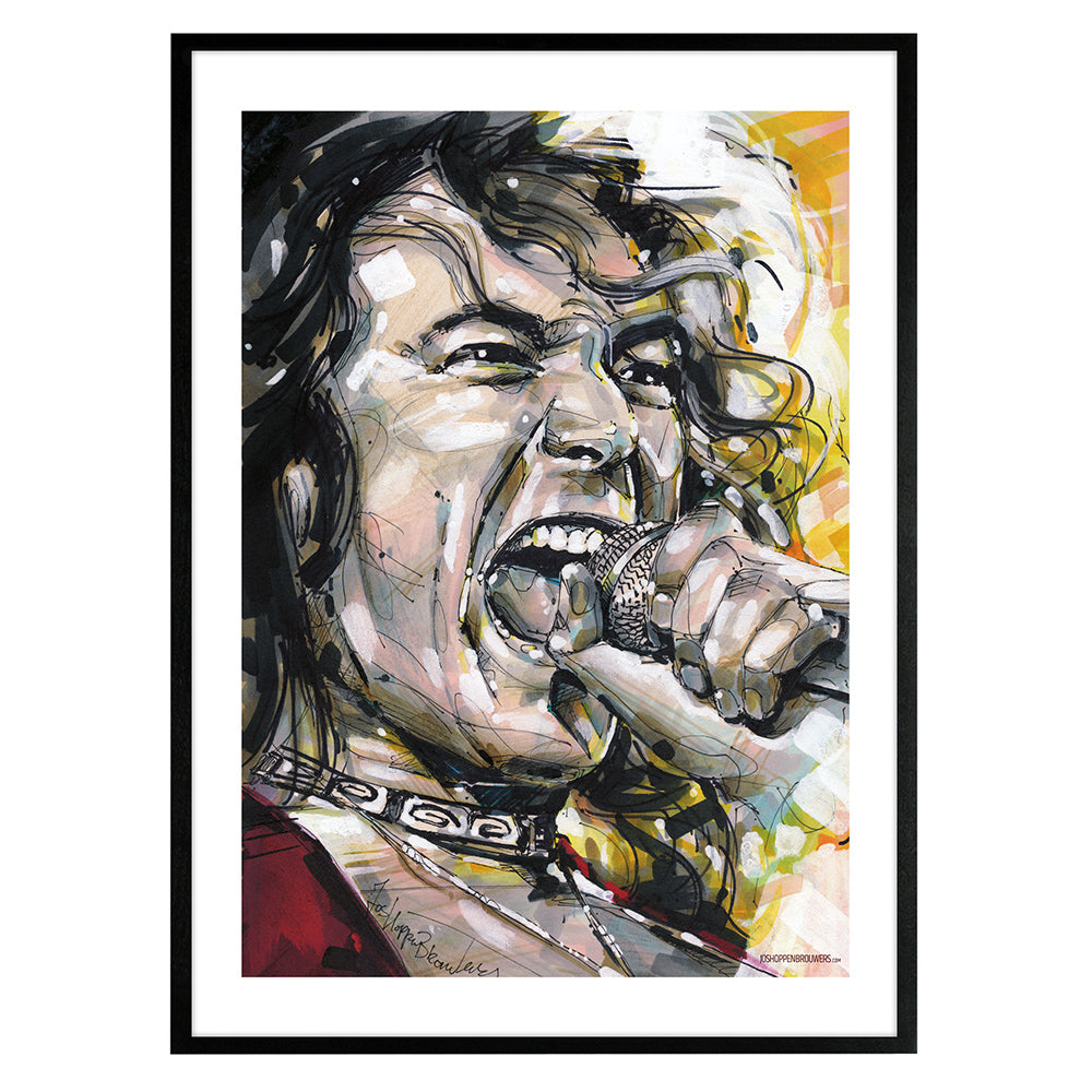 Robert Plant estampada