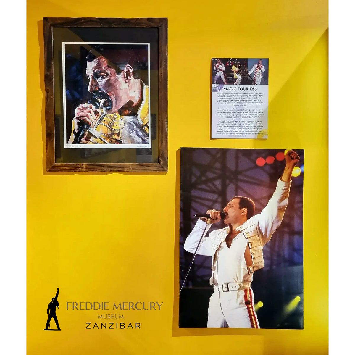 Freddie Mercury 04 Druck 50x70 cm